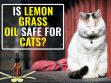 Is Lemongrass Oil Safe For Cats?