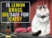 Is Lemongrass Oil Safe For Cats?