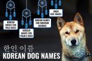 Korean Dog Names