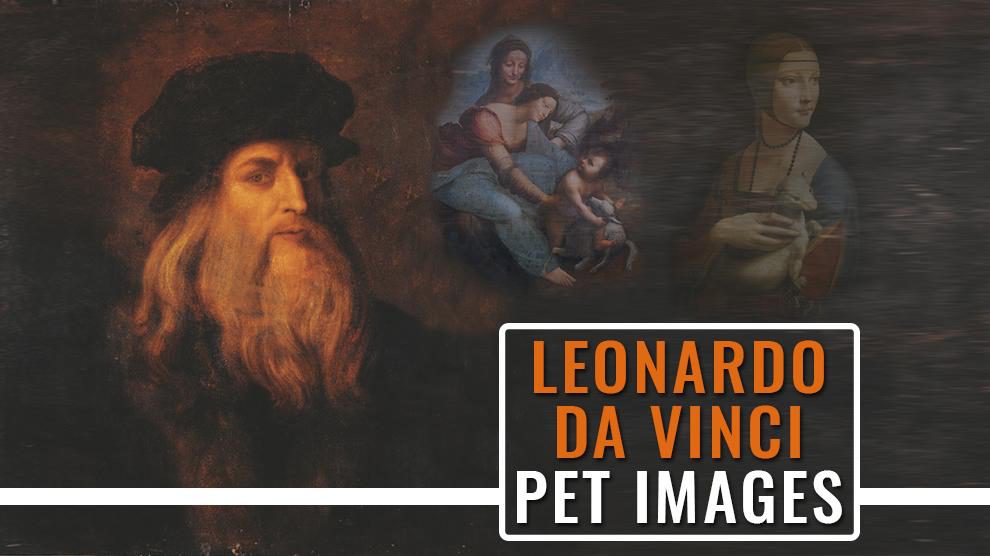 Leonardo Da Vinci Animal Drawings