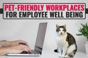 Pet Friendly Workplace