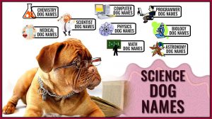 Science Dog Names