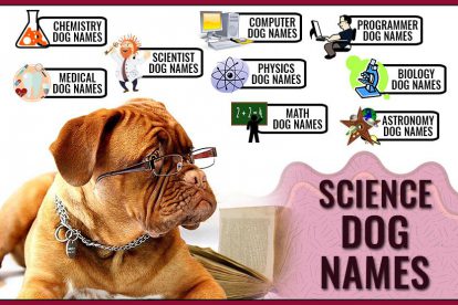 Science Dog Names