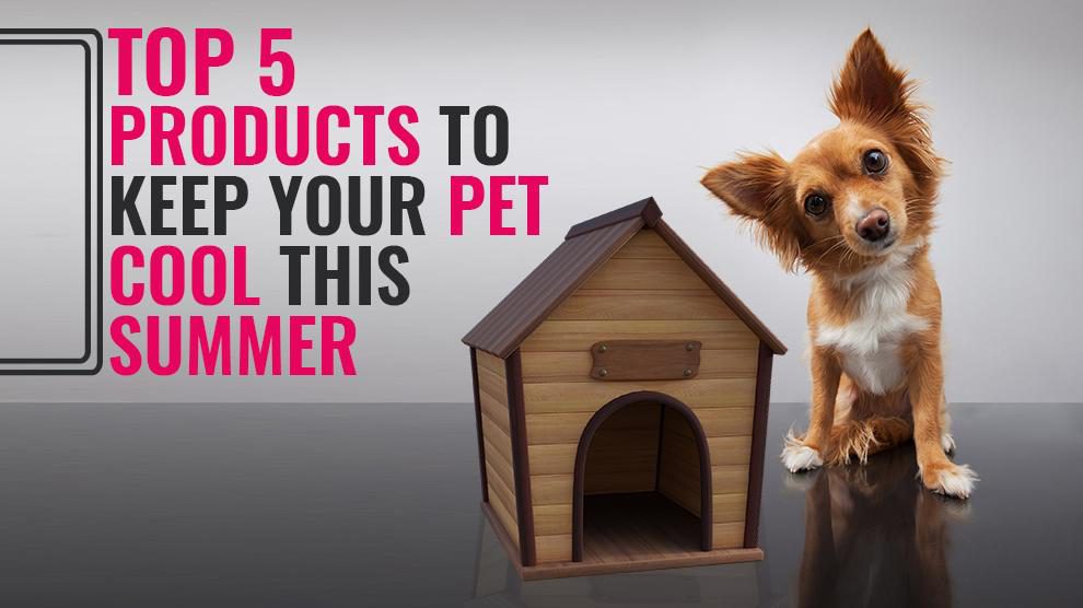 Top 5 Products To Keep Your Pet Cool This Summer