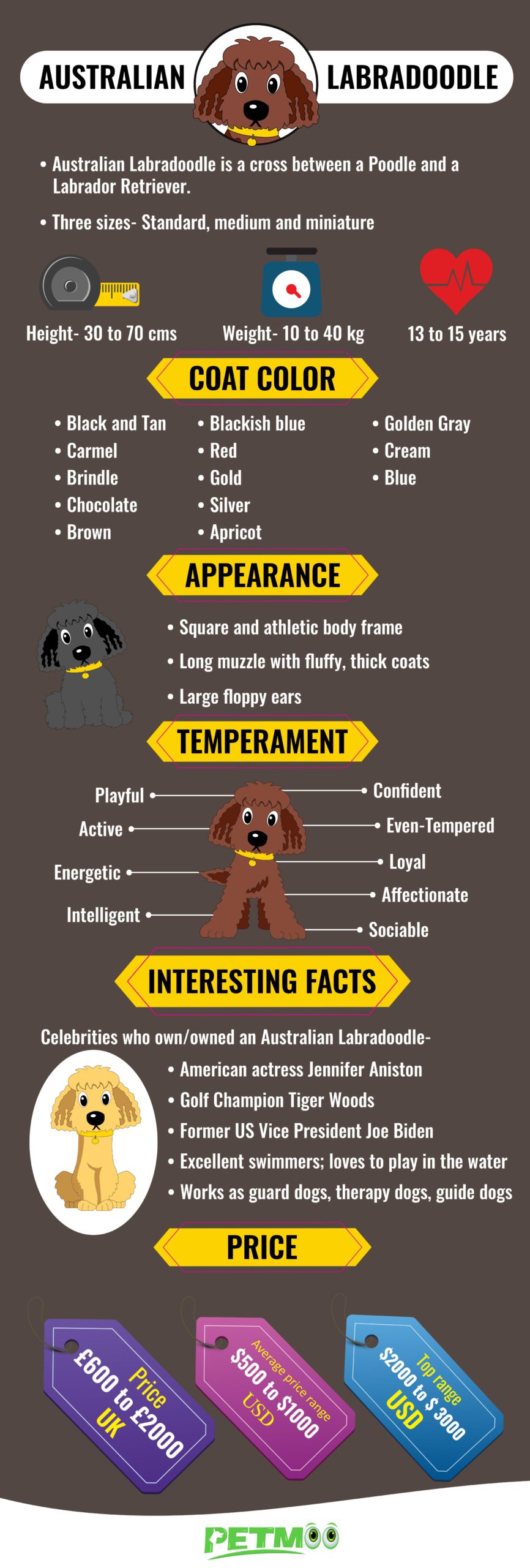 Wetland Også Sporvogn Australian Labradoodle - Dog Breed Information And History - Petmoo