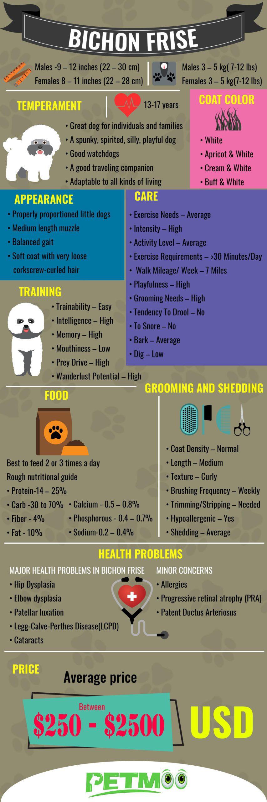 Bichon Frise Infographic