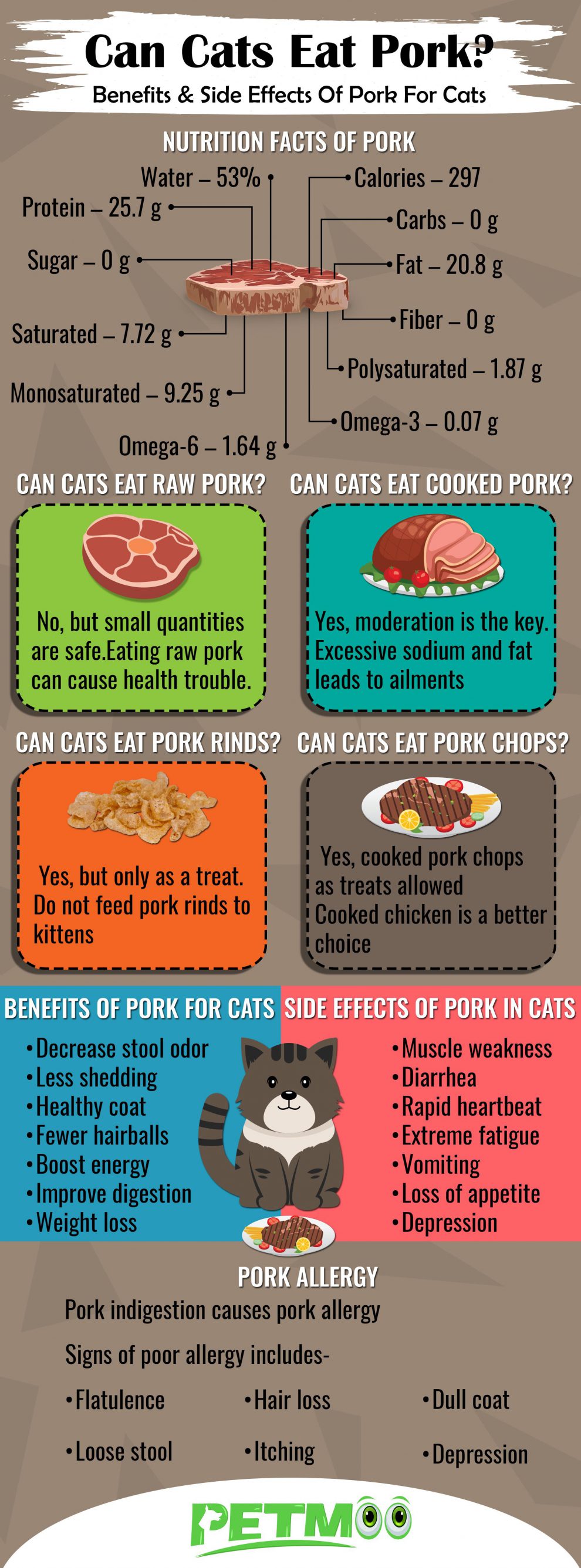 Can Cats Eat Pork? Benefits & Side Effects Of Pork For Cats Petmoo