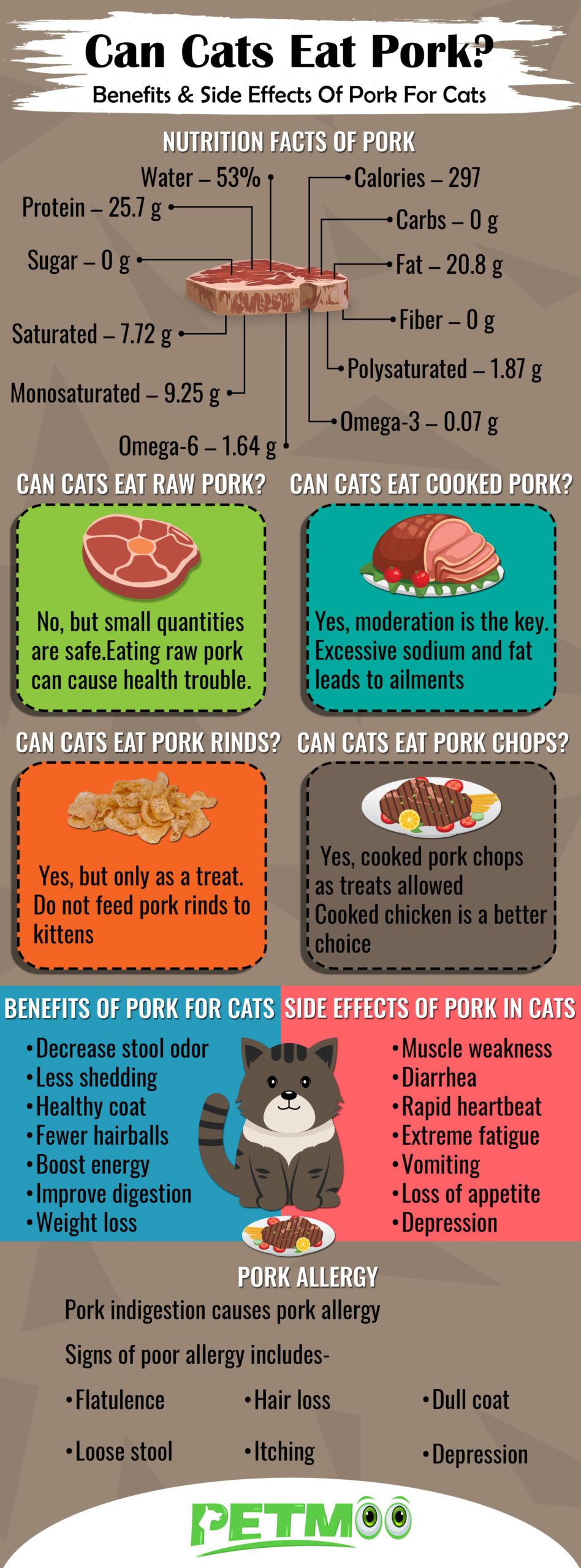 Can Cats Eat Pork Infographic