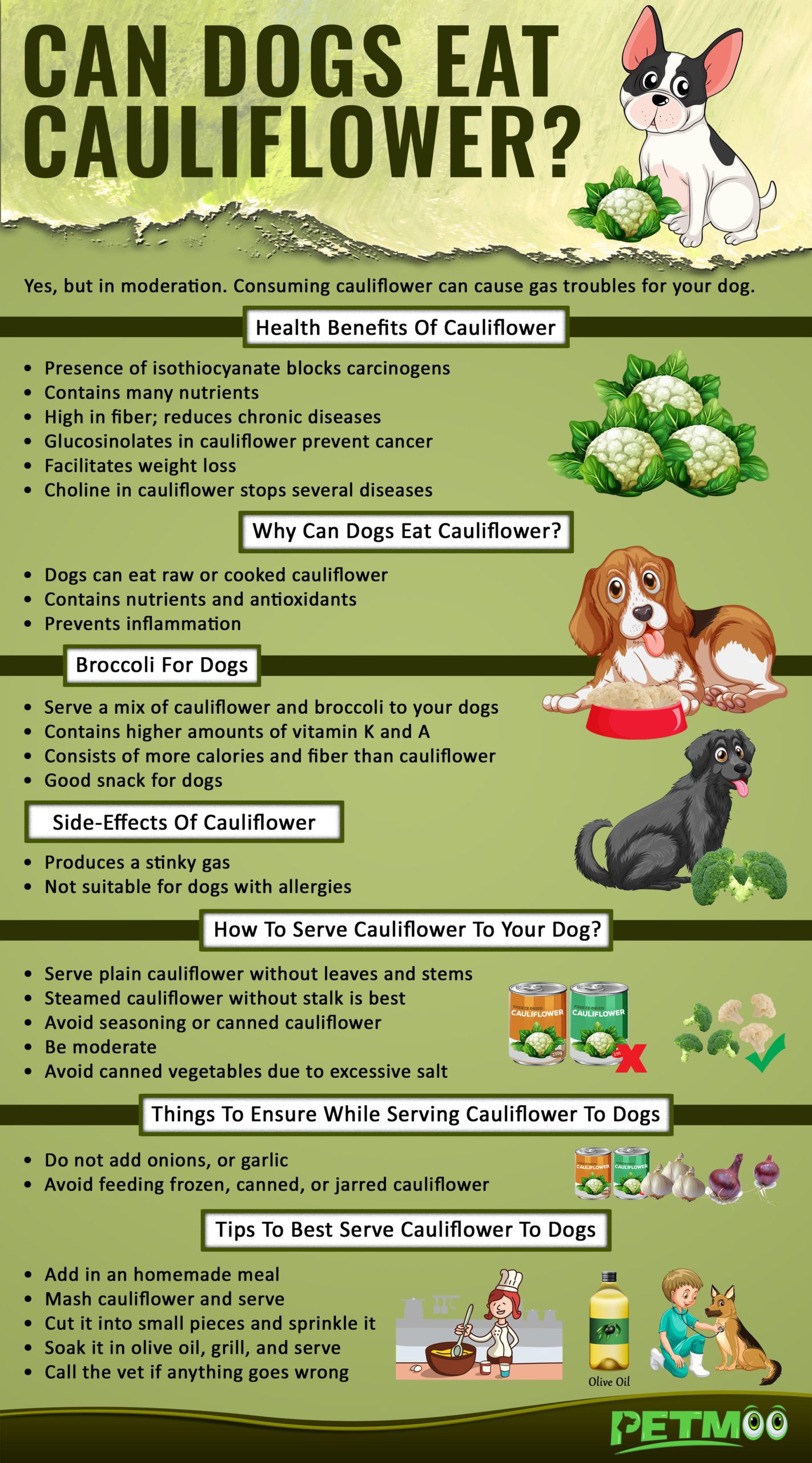 Can Dogs Eat Cauliflower Infographic