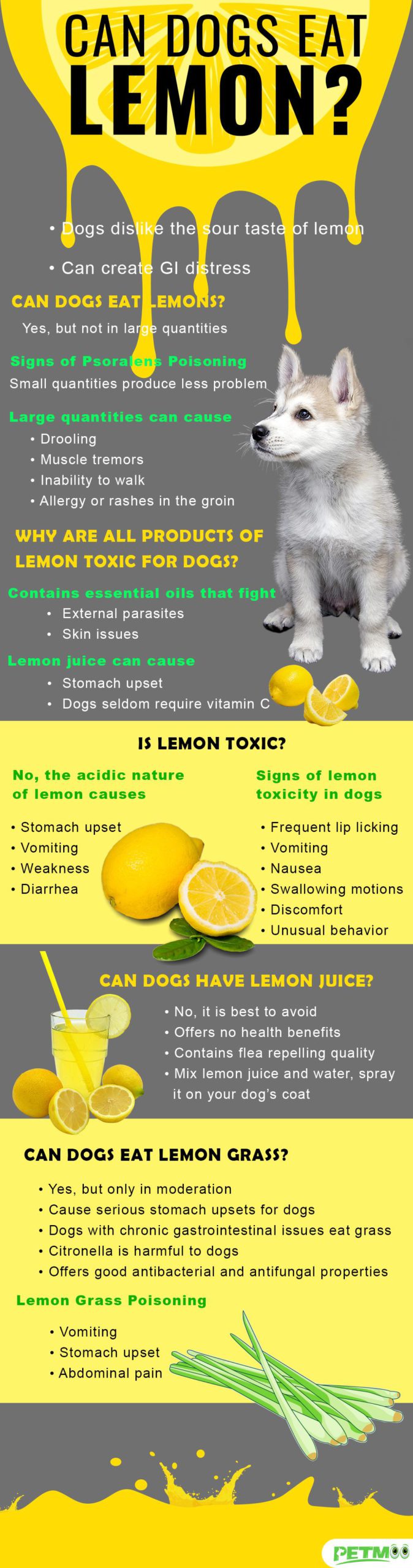 Can Dogs Eat Lemon Infographic