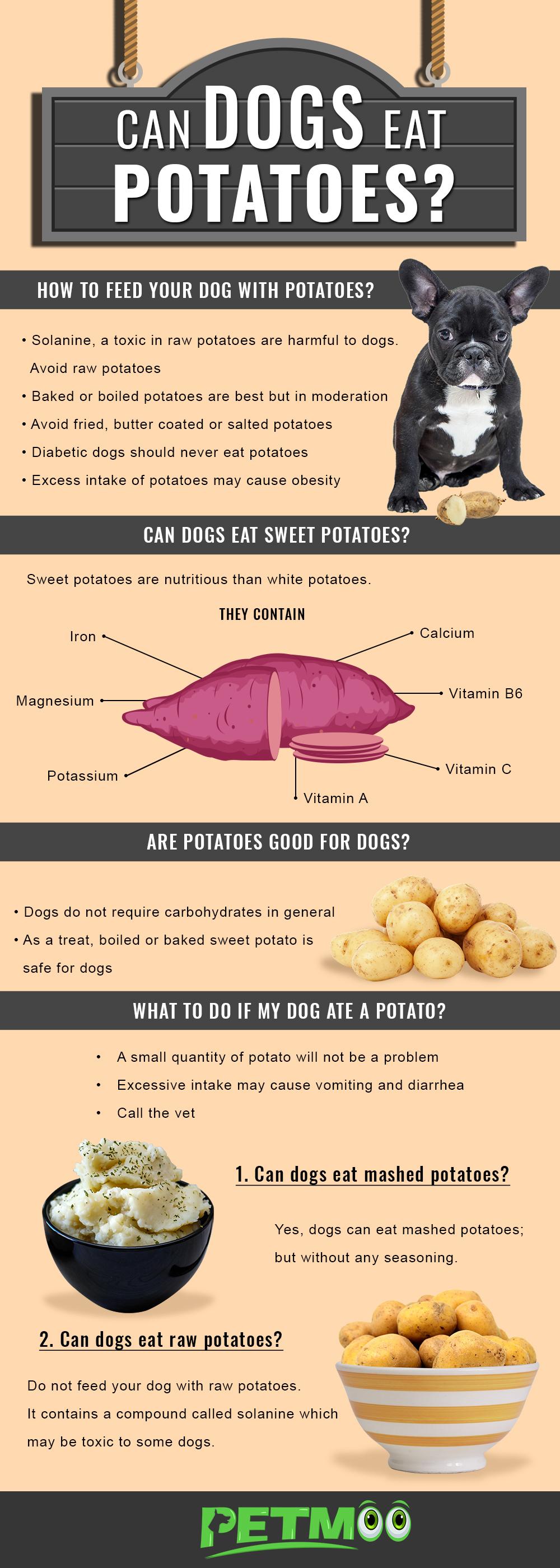 Can Dogs Eat potatoes Infographic