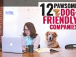 Dog Friendly Companies
