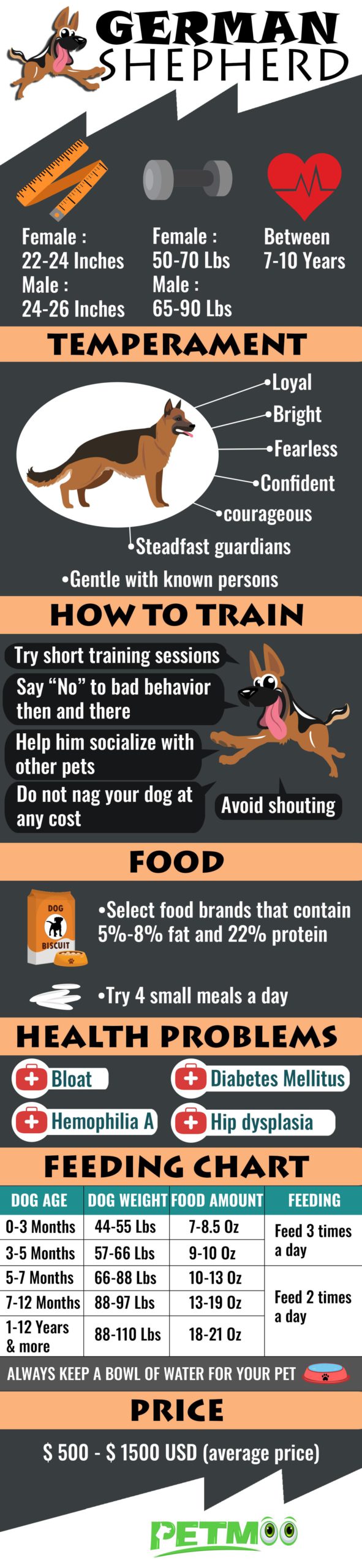 German Shepherd Infographic