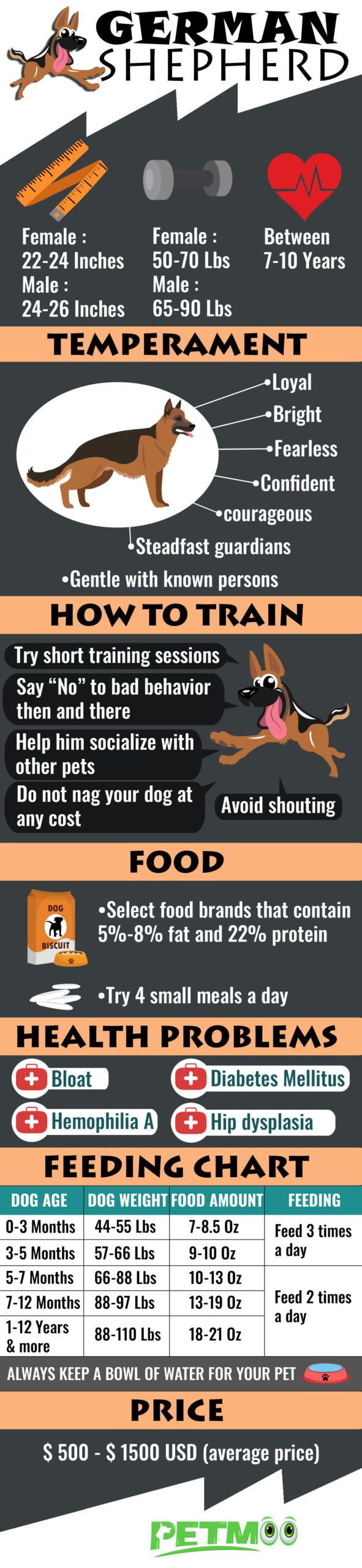 German Shepherd Infographic