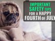 Important Safety Tips For A Happy Fourth of July