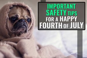 Important Safety Tips For A Happy Fourth of July