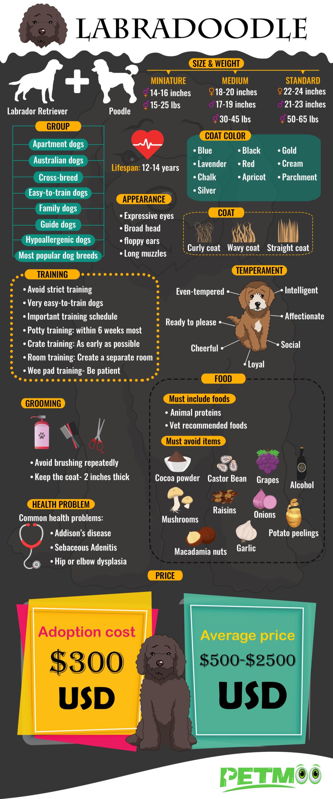 Labradoodle Infographic