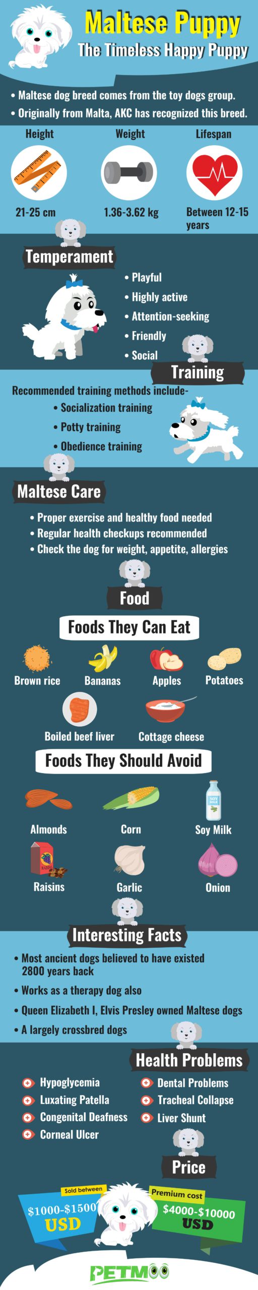 Maltese Infographic