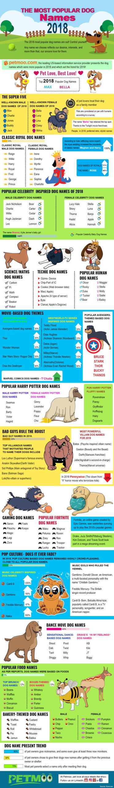 Most Poppular Dog Names