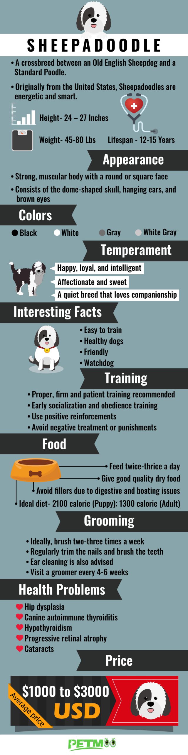 Sheepadoodle Infographic