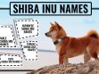 Shiba Inu Names
