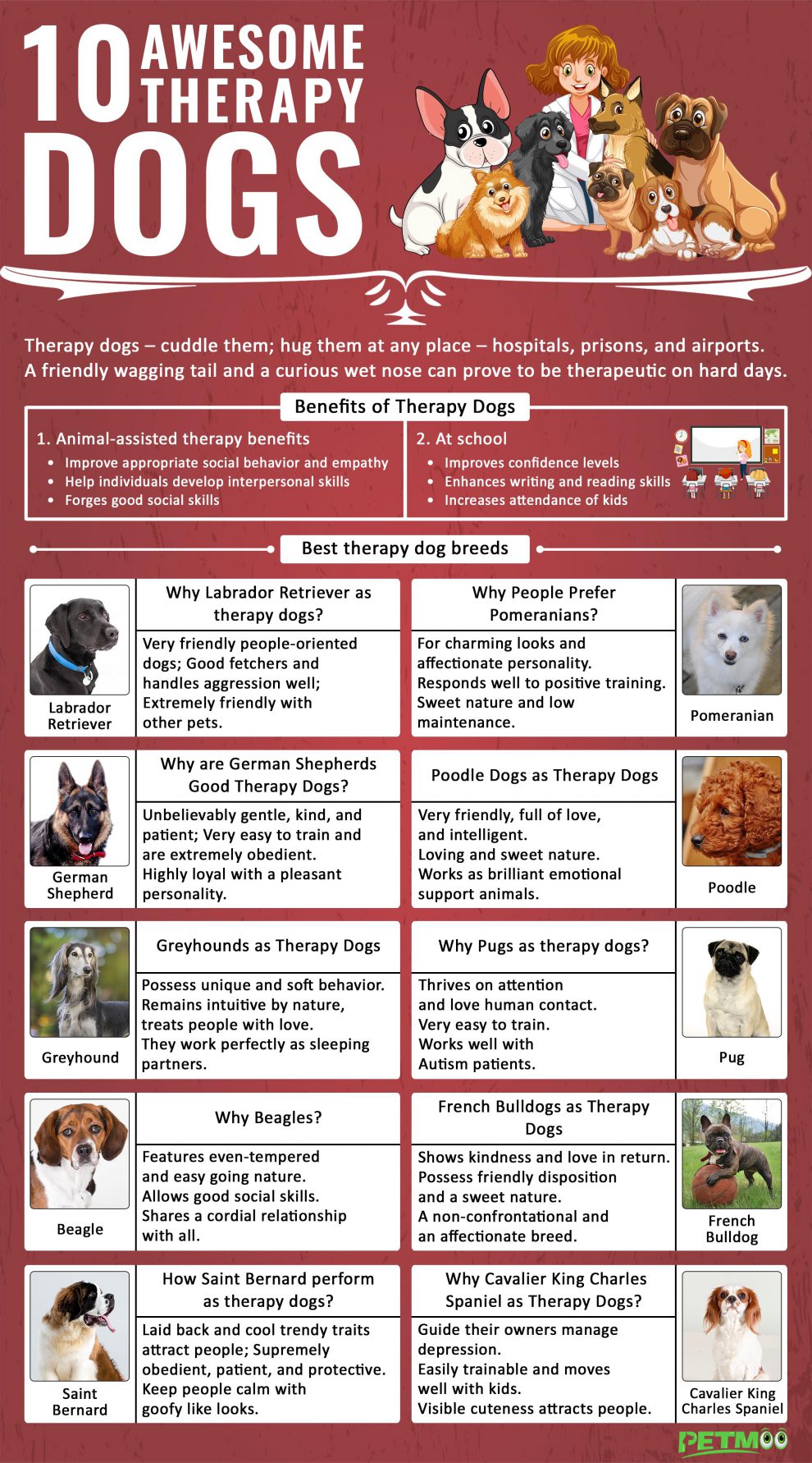 10-most-winsome-therapy-dogs-to-beat-all-your-worries-petmoo