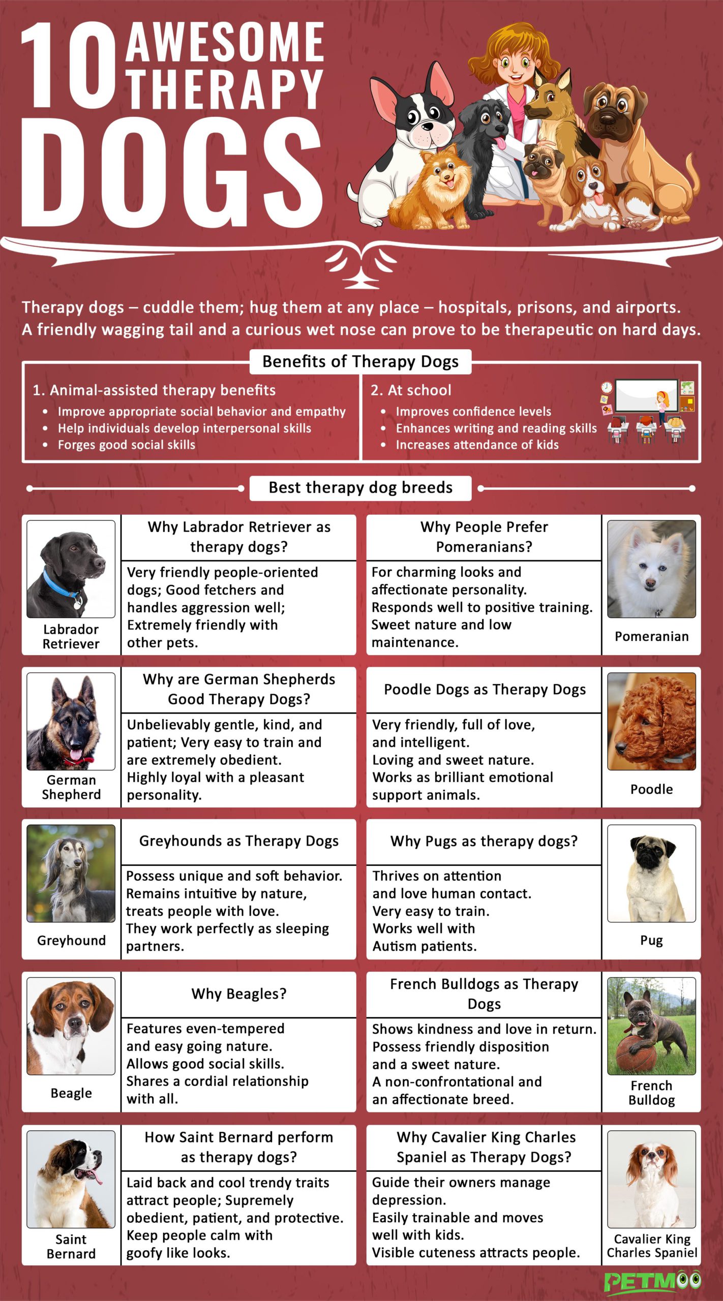 Therapy Dogs Infographic