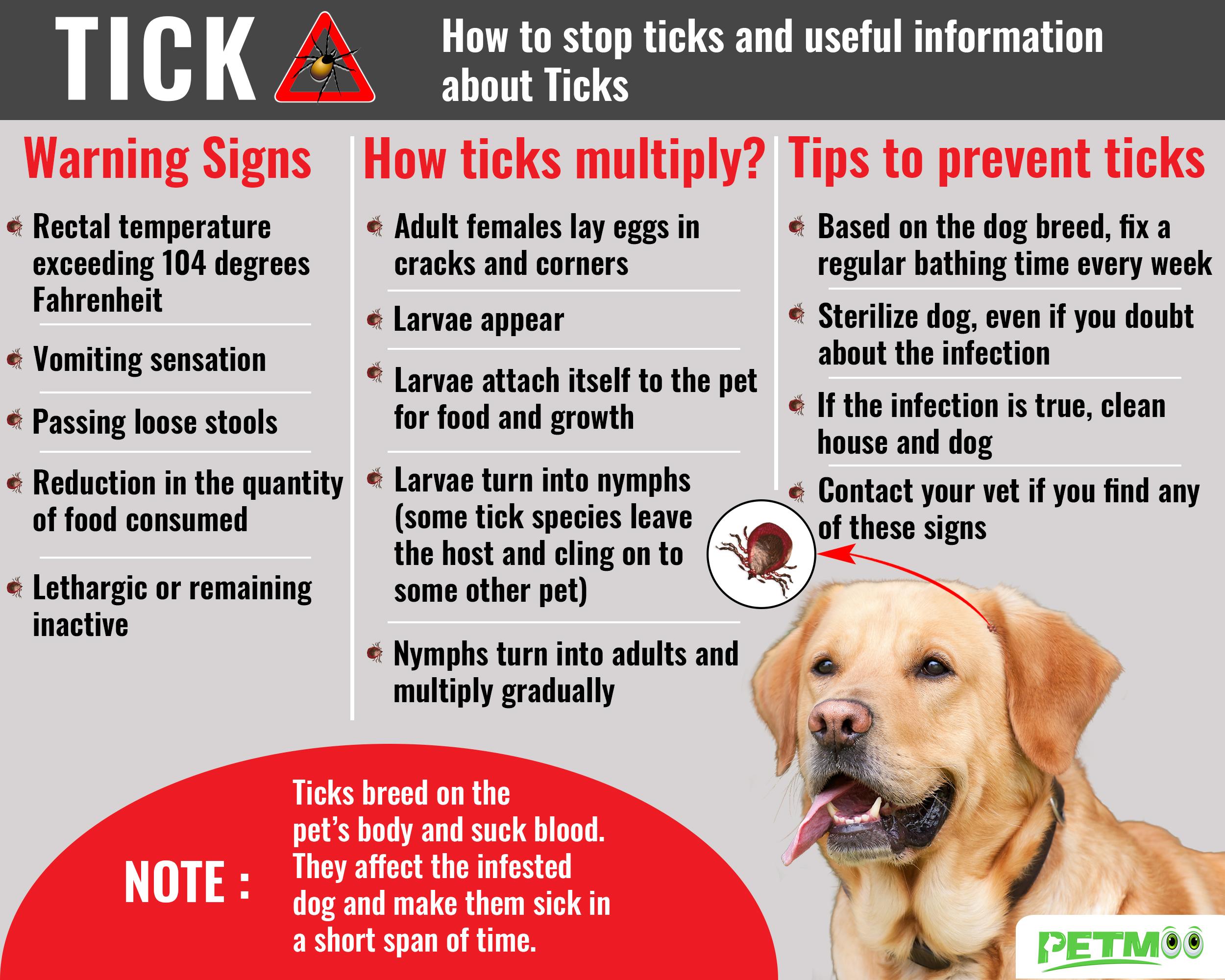 tick bite symptoms in adults