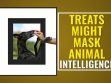 Treats Might Mask Animal Intelligence