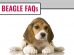 Beagle FAQs