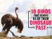 Birds That Remind Us Of Their Dinosaur Past