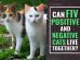 Can FIV Positive And Negative Cats Live Together?