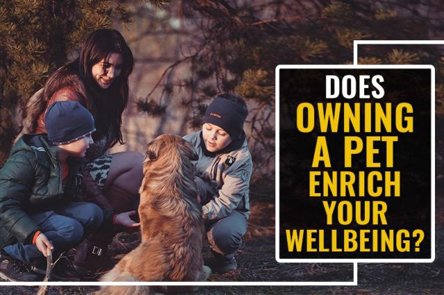 Advantages And Disadvantages Of Having A Pet