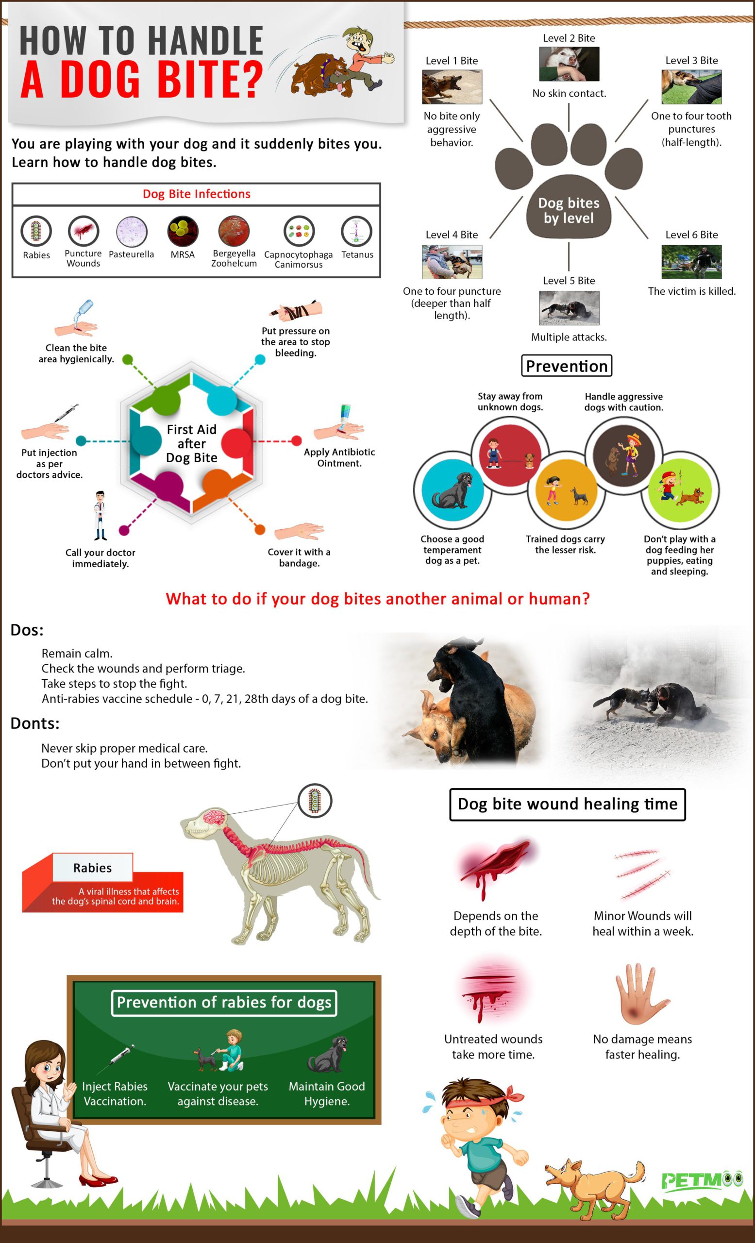 rabies after dog bite