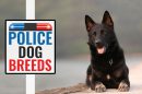 Police Dog Breeds