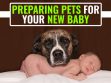 Preparing Pets For Your New Baby