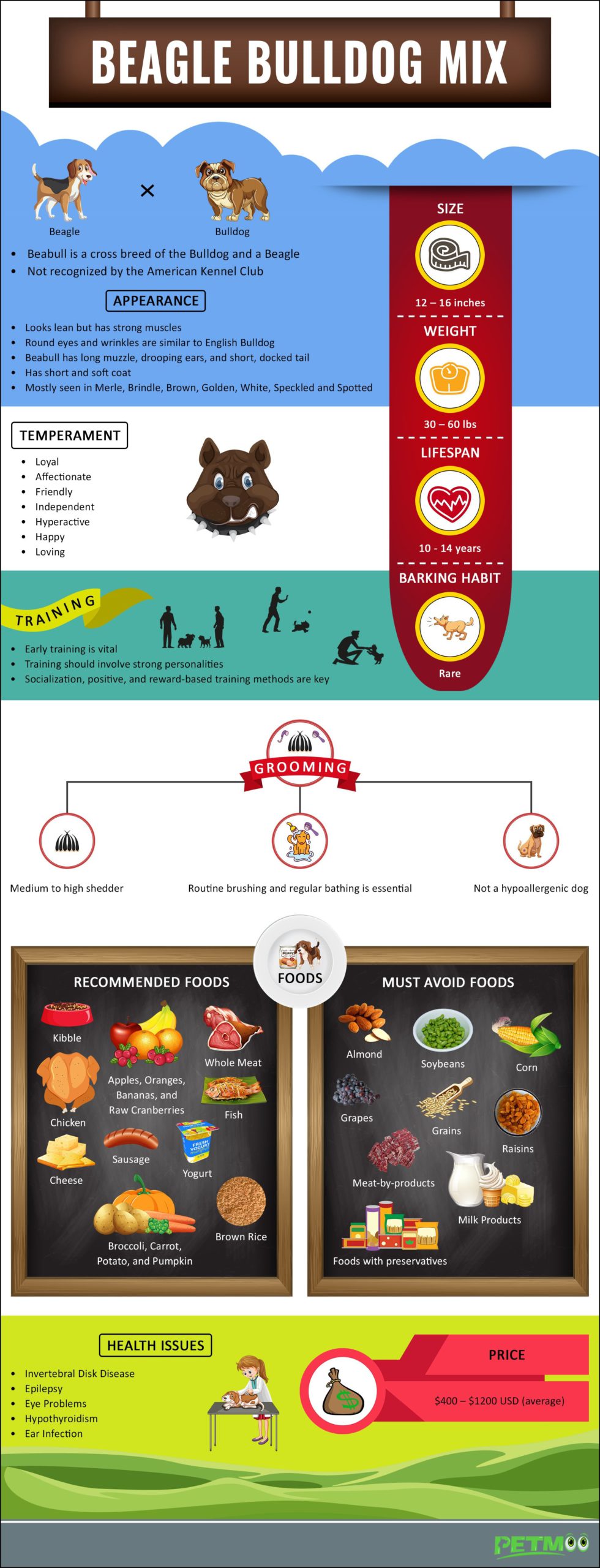 Beagle Bulldog Mix Infographics