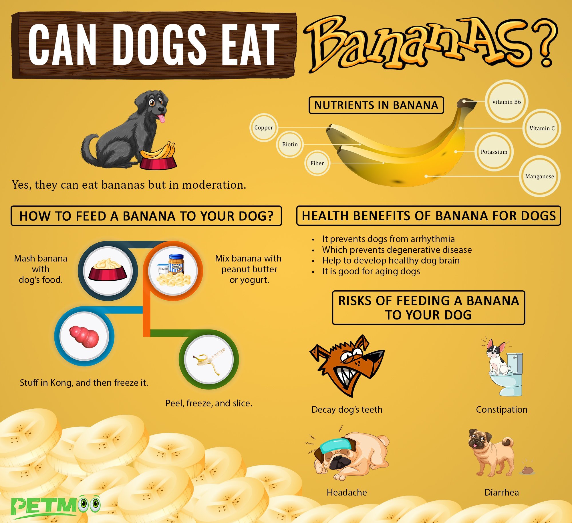 Can Dogs Eat Bananas Infographics