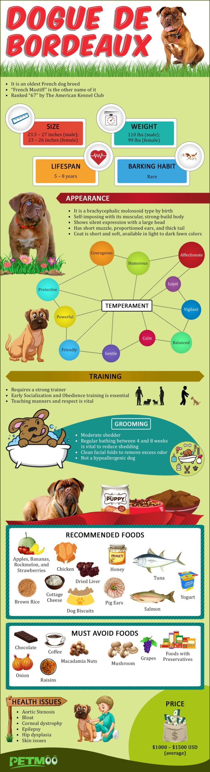 Dogue de Bordeaux Infographics