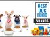 Best Dog Food Brands