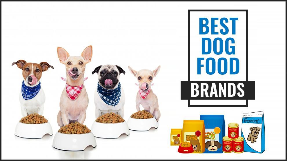 Best Dog Food Brands For Your Pet's Needs - Petmoo