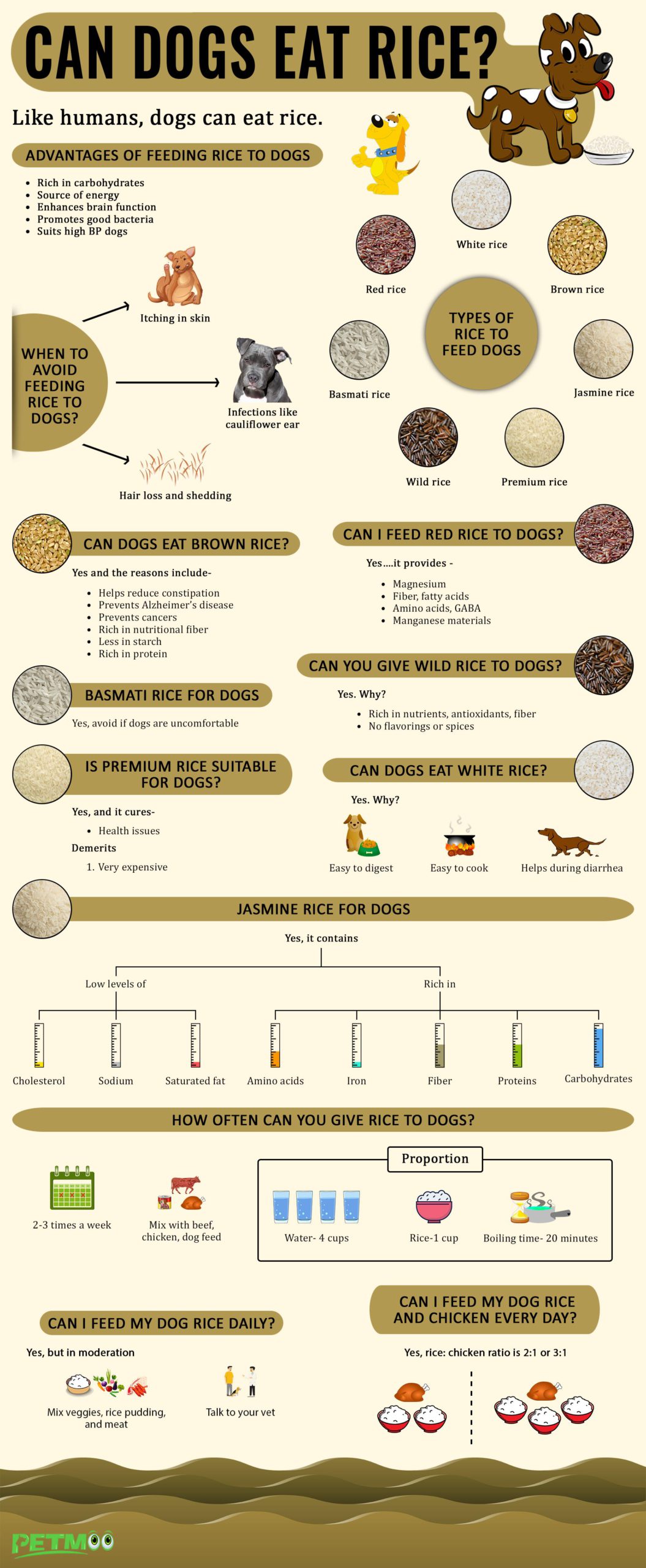 Can Dogs Eat Rice Infographics
