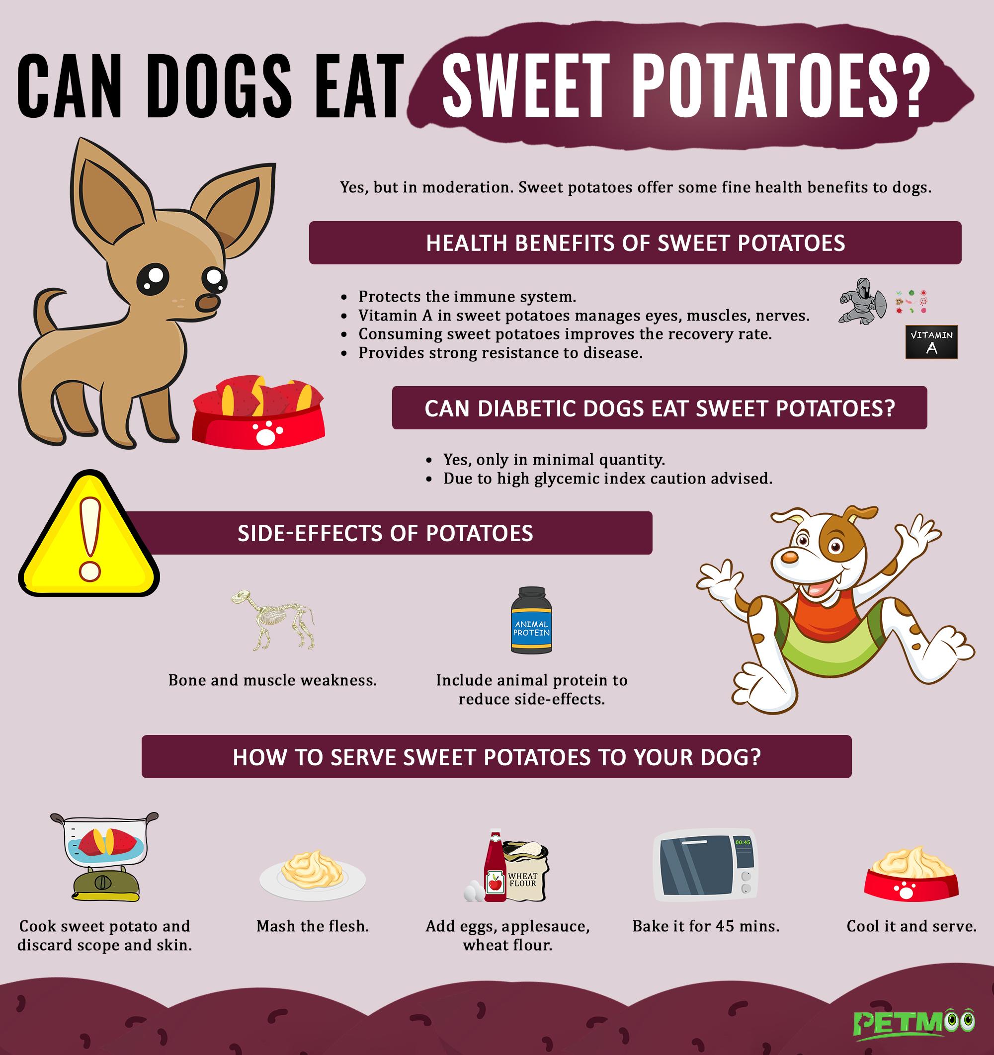 dogs and sweet potatoes