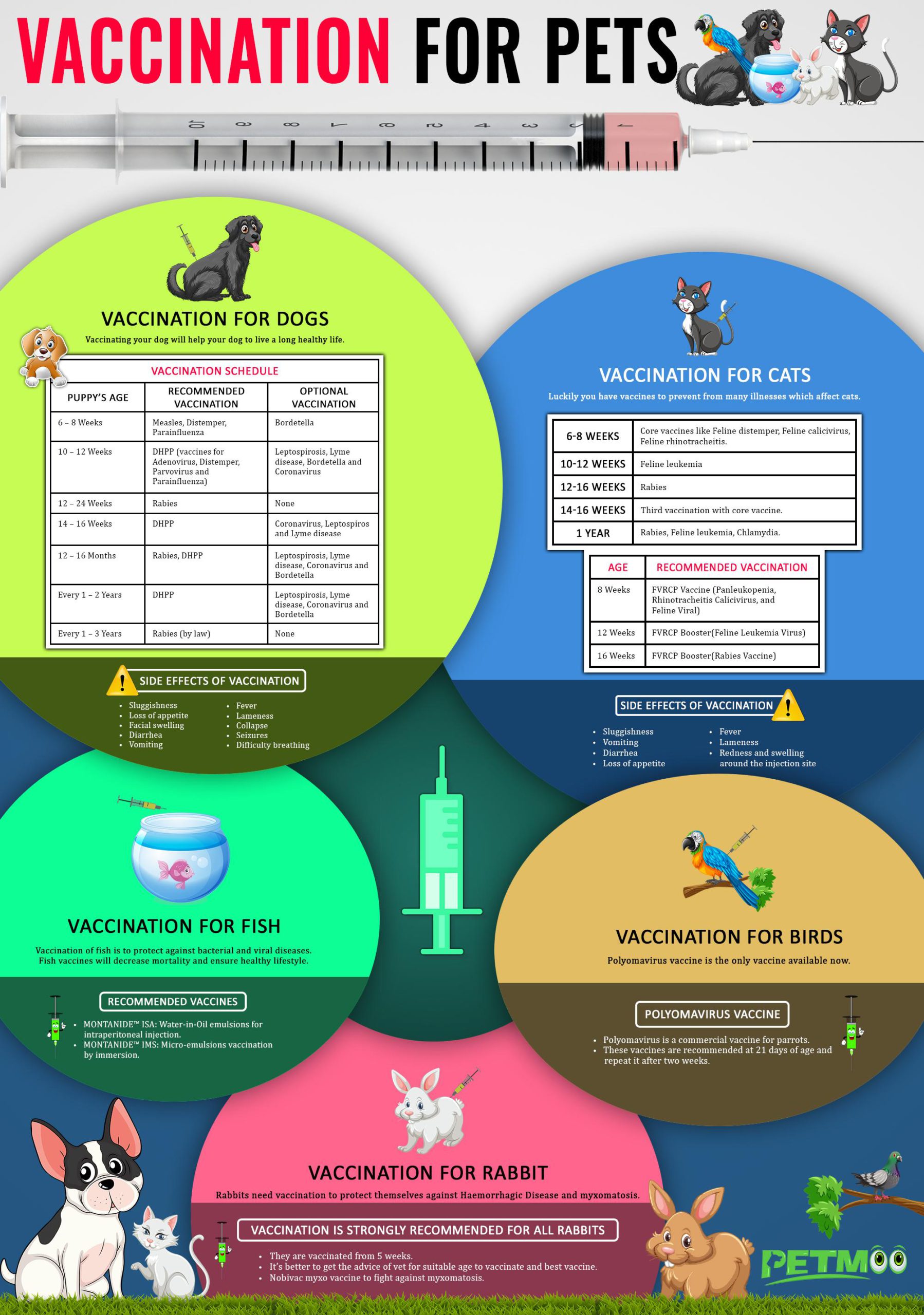 Vaccination For Pets Infographics