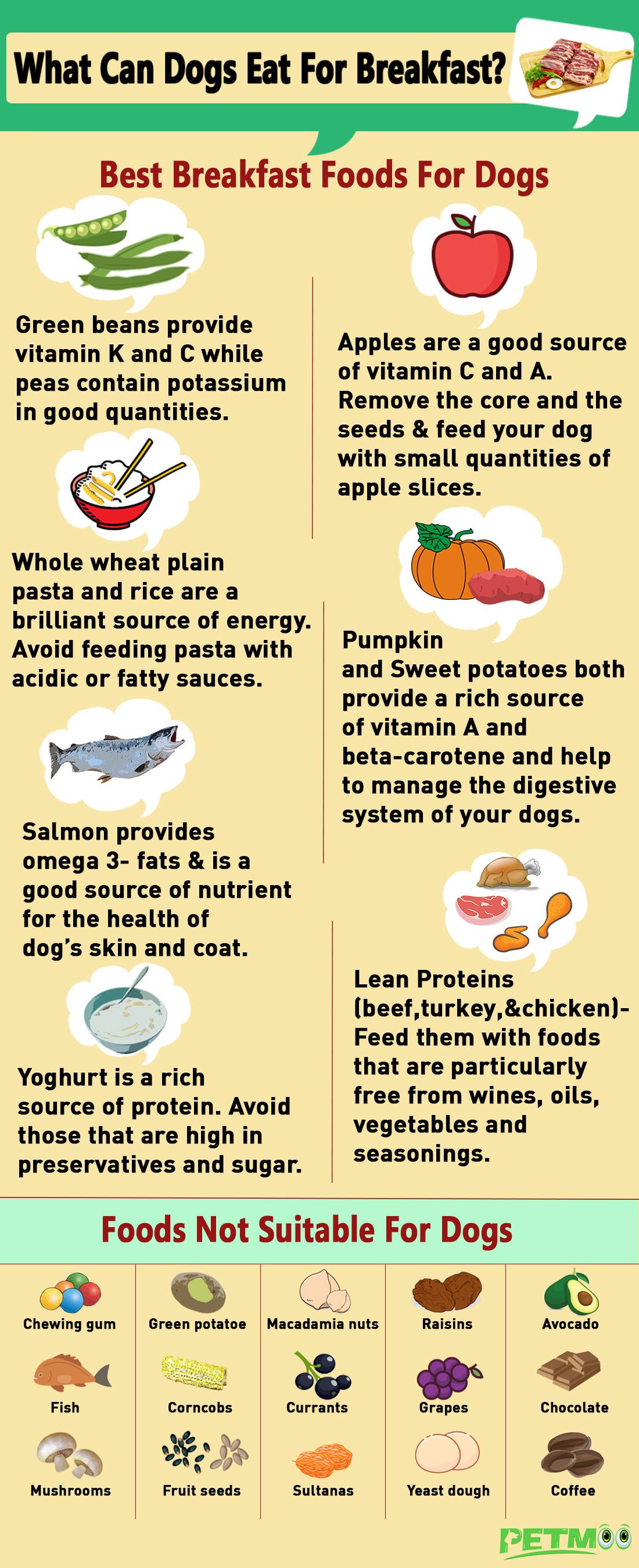 What Can Dogs Eat For Breakfast Infographics