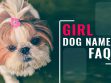 Girl Dog Names FAQs