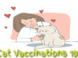 Cat Vaccinations 101