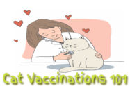 Cat Vaccinations 101
