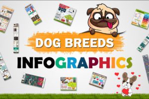 Dog Breeds Infographics