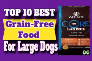 Best Grain-Free Food For Large Dogs